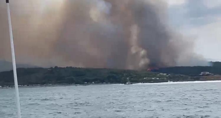 Incendio Peschici, Vieste accoglie oltre 500 turisti. Il sindaco Nobiletti: “Episodi troppo frequenti”