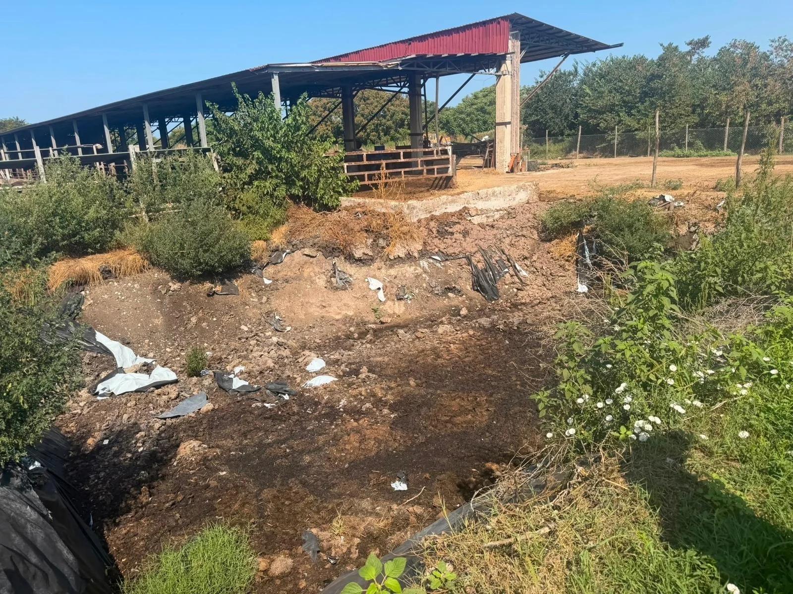 Capaccio Paestum, sversamenti illeciti e degrado: la Polizia Locale sequestra azienda zootecnica alla Linora