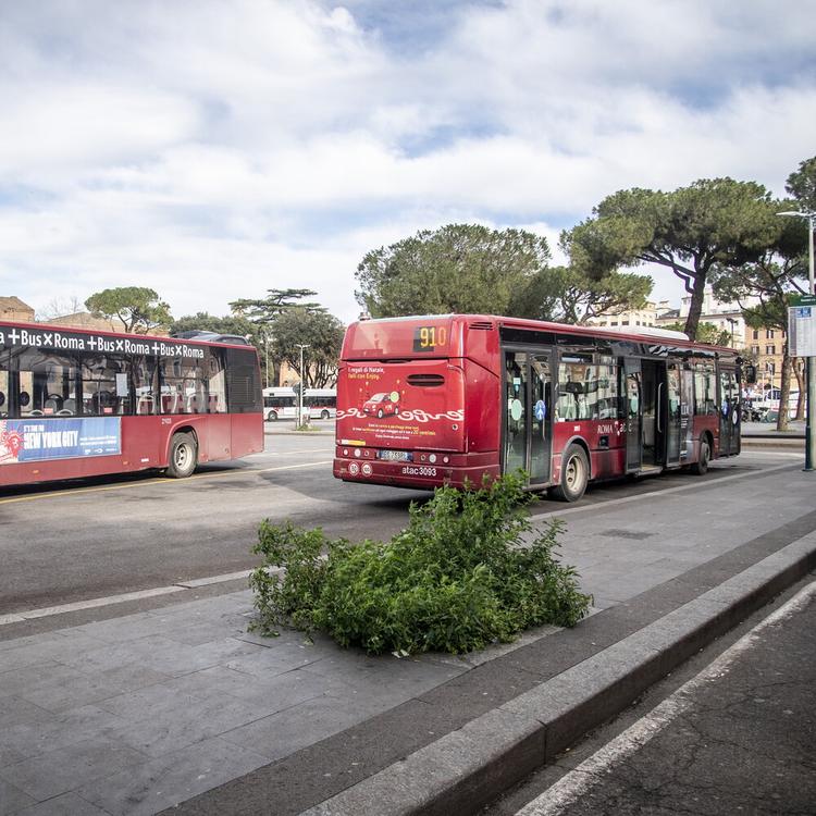 Boeri trasforma una rimessa dell'Atac a Roma in una Corte Verde con bosco