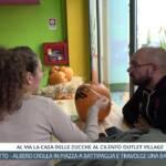 Tg InfoCilento 10 ottobre 2026, edizione delle 13:55