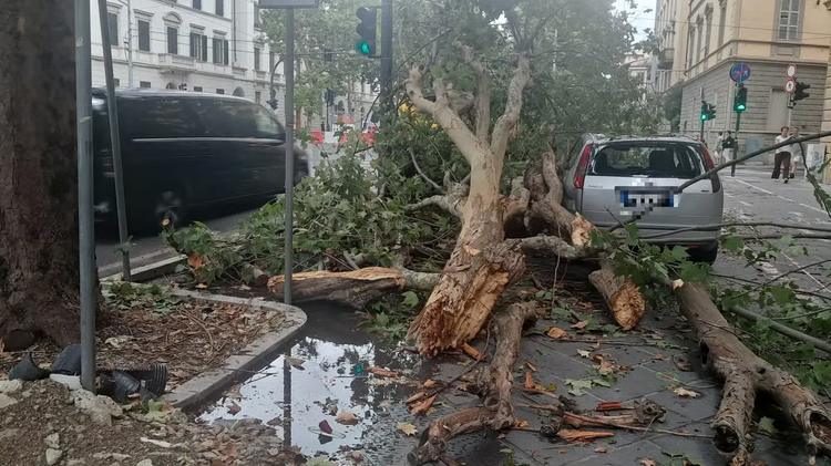 Vento sferza Firenze, limitazioni a tramvia e 23 alberi caduti