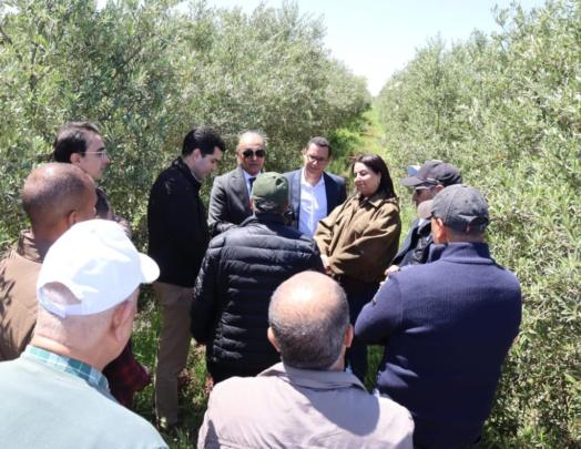 مسودة تلقائية