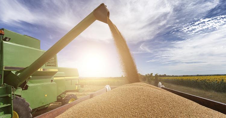 Recorde de 16,75 mi de toneladas de soja exportadas em abril sustenta receita do agronegócio brasileiro