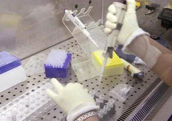 Bimba morta a Palermo per difterite, dimesso il cuginetto: era positivo anche lui ma vaccinato