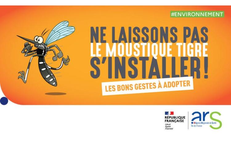 Moustique tigre : adoptons les bons réflexes pour limiter son installation