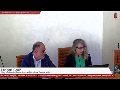 III Commissione Consiliare Permanente