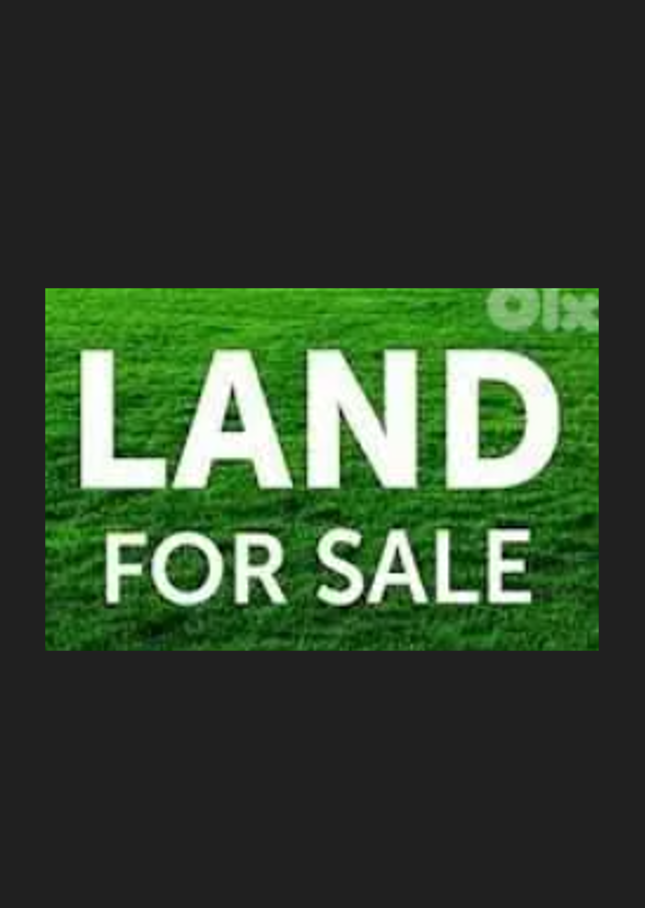 For Sale: Land in Louaizeh