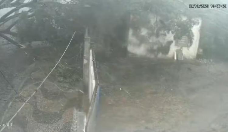 VÍDEO: Árvore cai e atinge oficina em Campinas