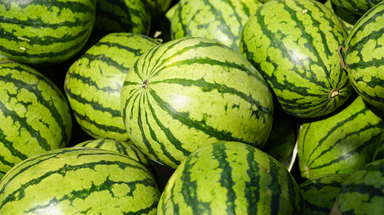 Pair of Jackson-metro farmers markets offering free watermelon this Saturday