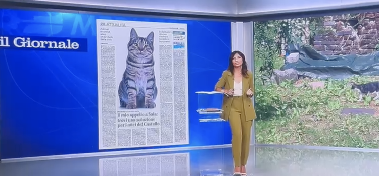 Gatti sforzeschi, l'appello di Feltri al Tg4: "Ascoltate questi volontari. Andate loro incontro"