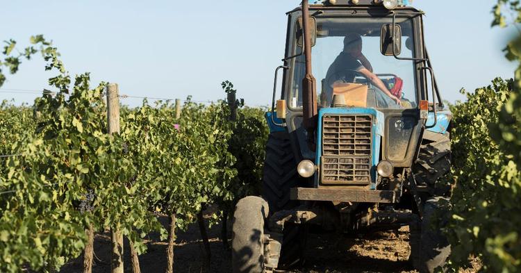 Cooperativas defendem crédito rural e reforma tributária em documento entregue a presidenciáveis