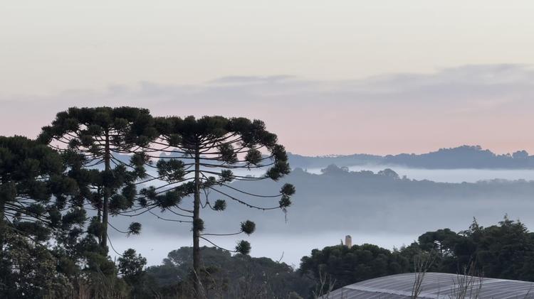 Nova massa de ar frio deve derrubar temperaturas no Sul e no Sudeste na próxima semana; veja previsão