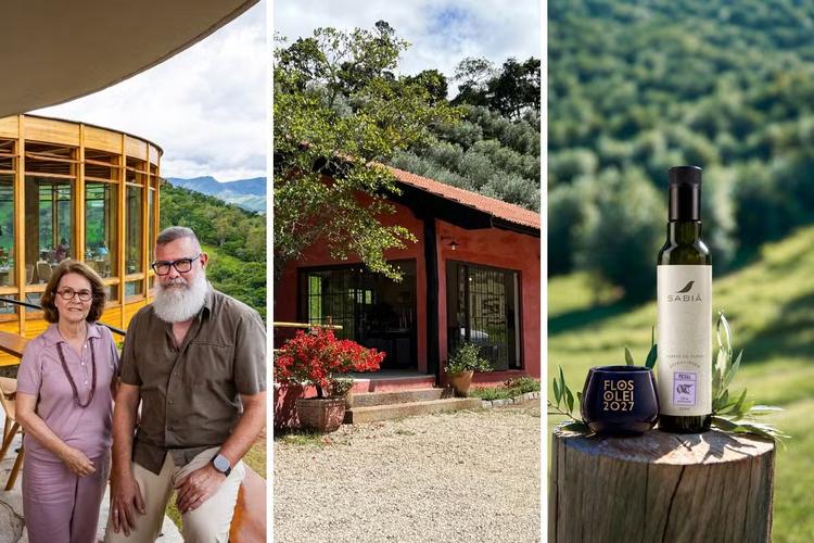 Azeite da Serra da Mantiqueira conquista prêmio internacional: ‘Estou me sentindo ganhando um Oscar’, diz produtor