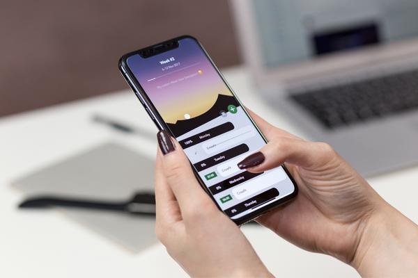 Gli smartphone, fattore di traino nell’accesso al web
