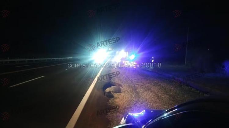 Homem morre após ser atropelado na SP-294, em Tupã; motorista fugiu