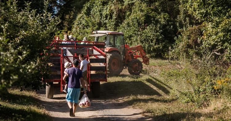 Renegociação de dívidas do agronegócio divide governo e setor produtivo no Congresso
