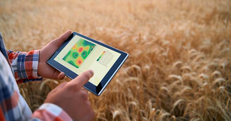 Por que consultores agrícolas não podem mais abrir mão dos dados de satélite