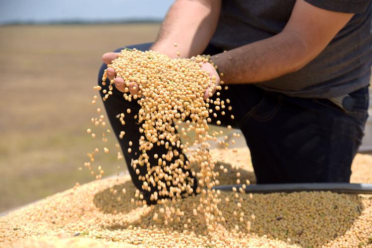 Tarifaço deve atingir 36,5% das exportações do agro brasileiro, diz CNA