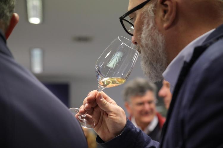 Dalla Puglia i primi vini agrivoltaici d’Italia: successo al Vinitaly
