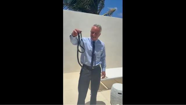 Vídeo: Robert F. Kennedy Jr. é mordido por cobras após pegá-las com a mão