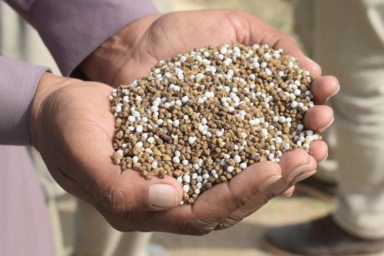 Arroz, café, trigo e mais: como a crise dos fertilizantes — em ano de El Niño — pode pressionar preços