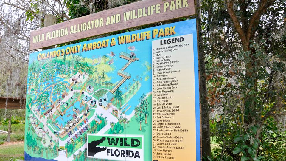 Wild Florida – Natur und Spaß in der Nähe von Orlando