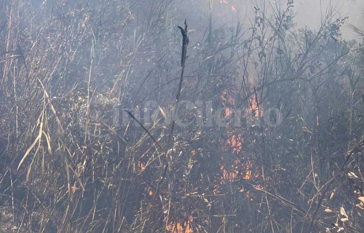 Incendio a Torre Orsaia: fiamme in località Pedale, macchia mediterranea in fumo