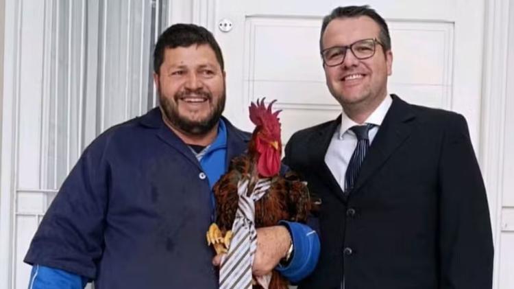 'Galo em regime semiaberto': briga entre vizinhos por barulho de animal vai parar na Justiça e termina em acordo no RS
