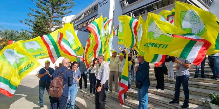 Gasolio agricolo, Coldiretti Calabria: "Il prezzo torna sotto un euro al litro. La Regione ha accolto le nostre richieste"