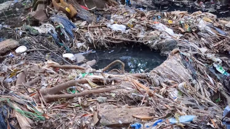 Fiscais fazem vistoria técnica para verificar denúncia de contaminação ambiental no Parque do Sabiá