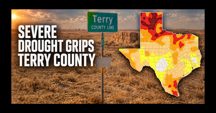 Severe Drought Covers Nearly All of Terry County as Rainfall Deficit Grows
