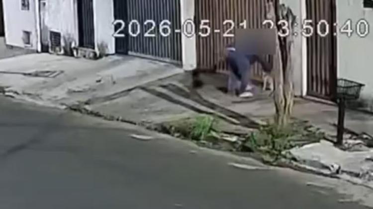 VÍDEO: Tutor dá chineladas em cão e diz ter se irritado após animal fugir e voltar com mau cheiro em MG
