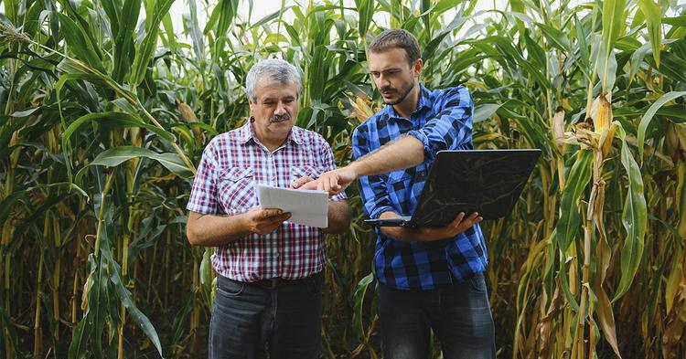 IA avança no setor agropecuário e amplia segurança alimentar no Brasil
