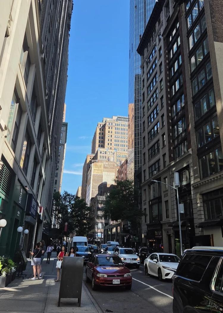 street scene in new york city with old building in background