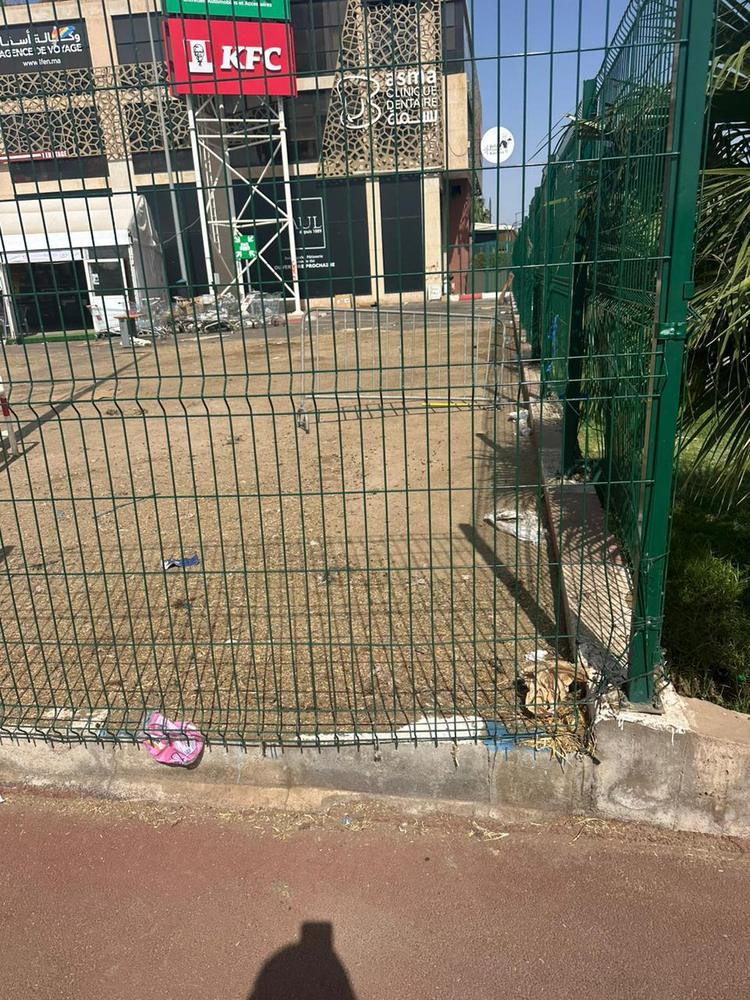 مسودة تلقائية