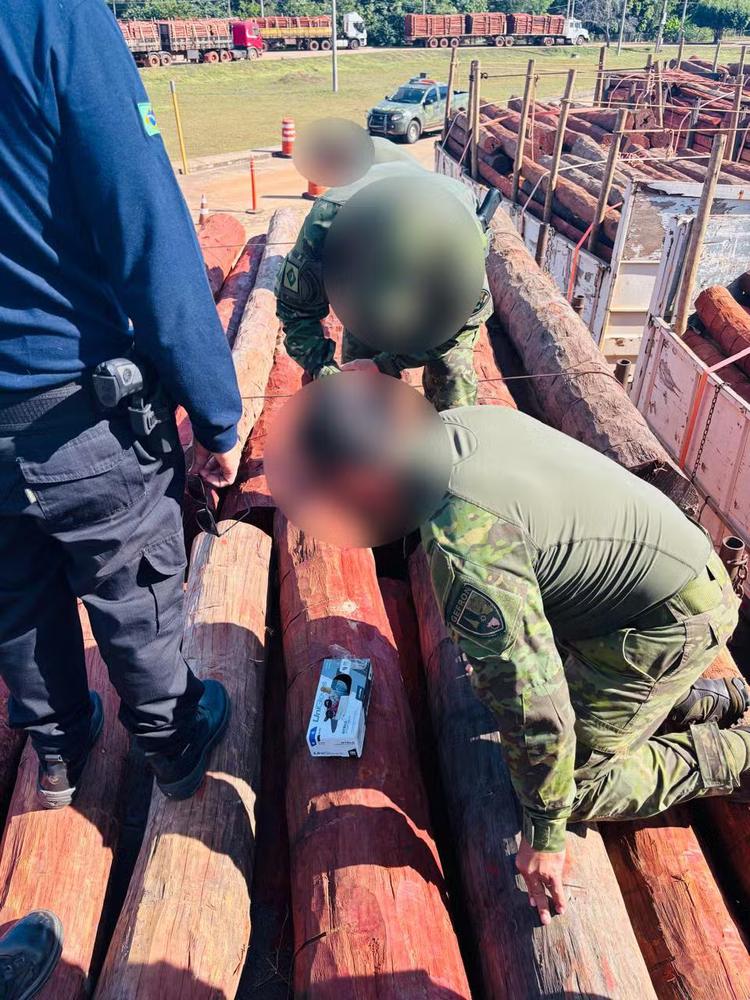 VÍDEO: veja apreensão de cocaína líquida misturada à madeira em MT
