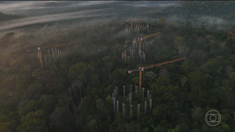 Entenda como funciona a máquina montada no meio da Amazônia que simula o clima do futuro