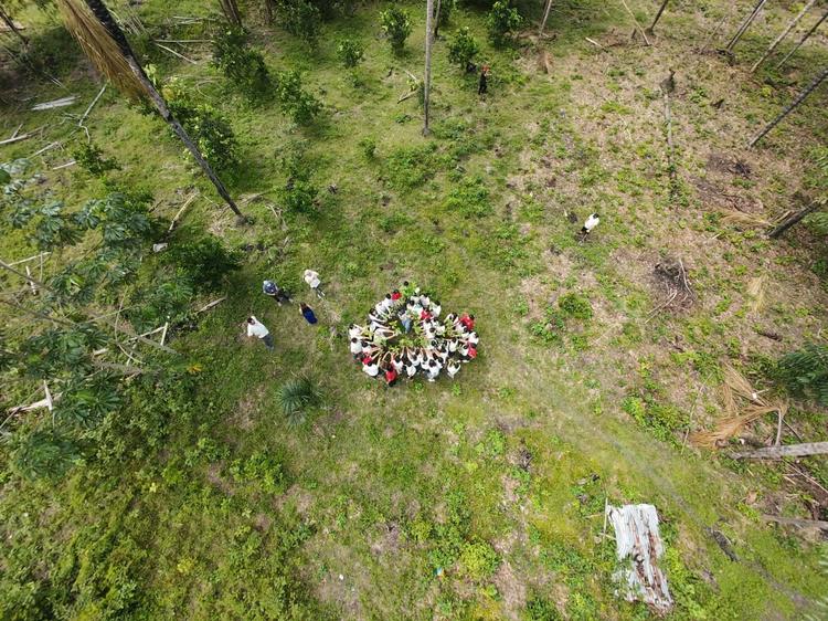Com queda de 10% na área verde em Rio Branco, projeto vai plantar mudas para recuperação ambiental