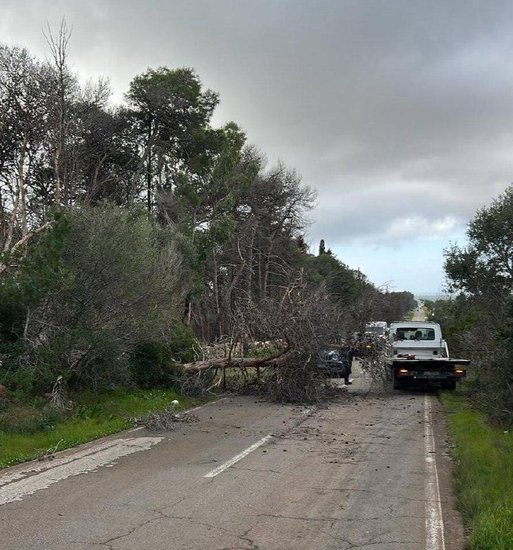 🚨 COMUNICAZIONE IMPORTANTE 🚨 Cari Concittadini, la strada Maruggio - Manduria è temporaneamente chiusa al traffico per...