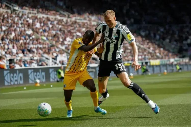 Brighton fans comments after visiting Newcastle United and losing…