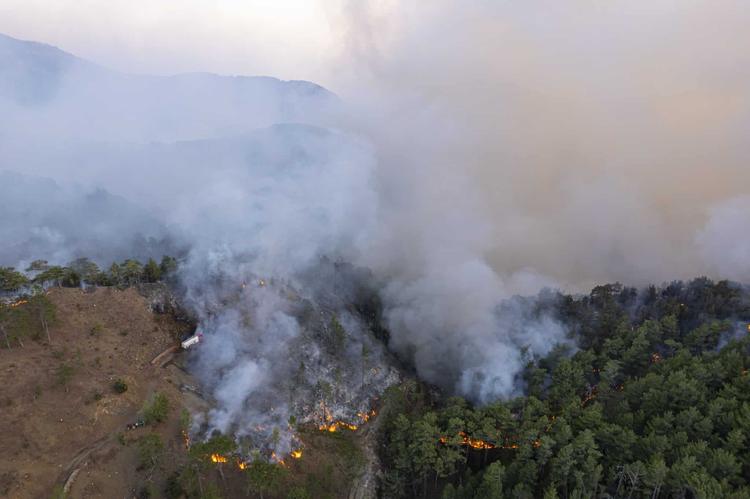 Feu de forêt à Montauban-sur-l’Ouvèze : intervention rapide des sapeurs-pompiers