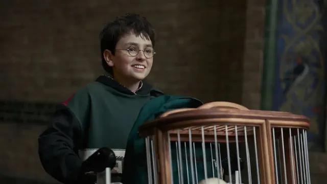 HBO renova série de Harry Potter para nova temporada antes mesmo de estreia