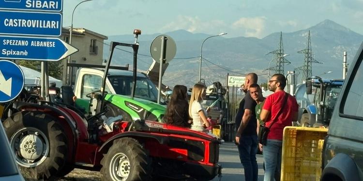 Crisi agricola in Calabria, l'assessore Gallo: «Le Regioni del Sud chiedono di usare i fondi Csr per l’emergenza»