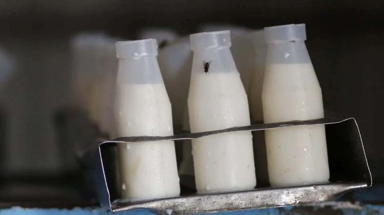State hikes price of milk procurement, no change for consumers