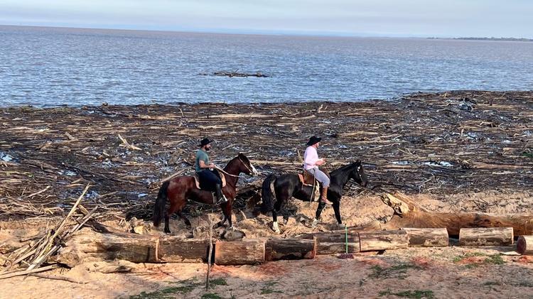 Orla de Guaíba já teve cerca de 40 caminhões de troncos e resíduos retirados após fortes chuvas no RS