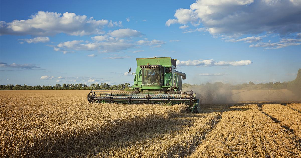 Valor de produção de culturas agrícolas do país subiu 18,4% em 2025