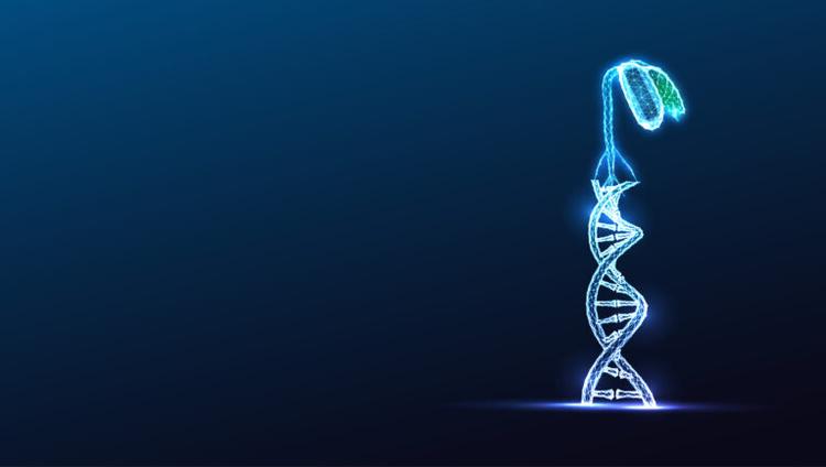 Plant Viruses Advance Virus-Induced Gene Editing