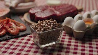 Quando gli alimenti uccidono: ecco la top 5 dei cibi più 'letali'