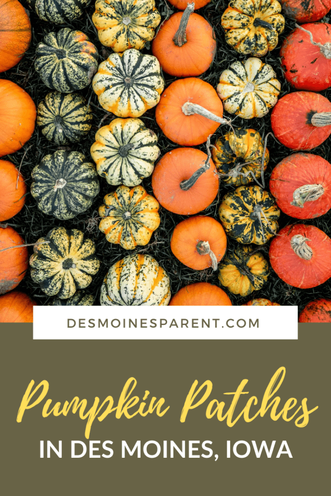 pumpkin patches, Howell's Pumpkin Patch, Des Moines, Iowa, fall