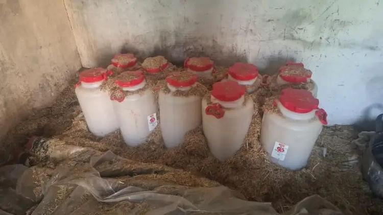 تفكيك معمل سري للماحيا بالرحامنة وحجز 500 لتر وتوقيف خمسيني +صور